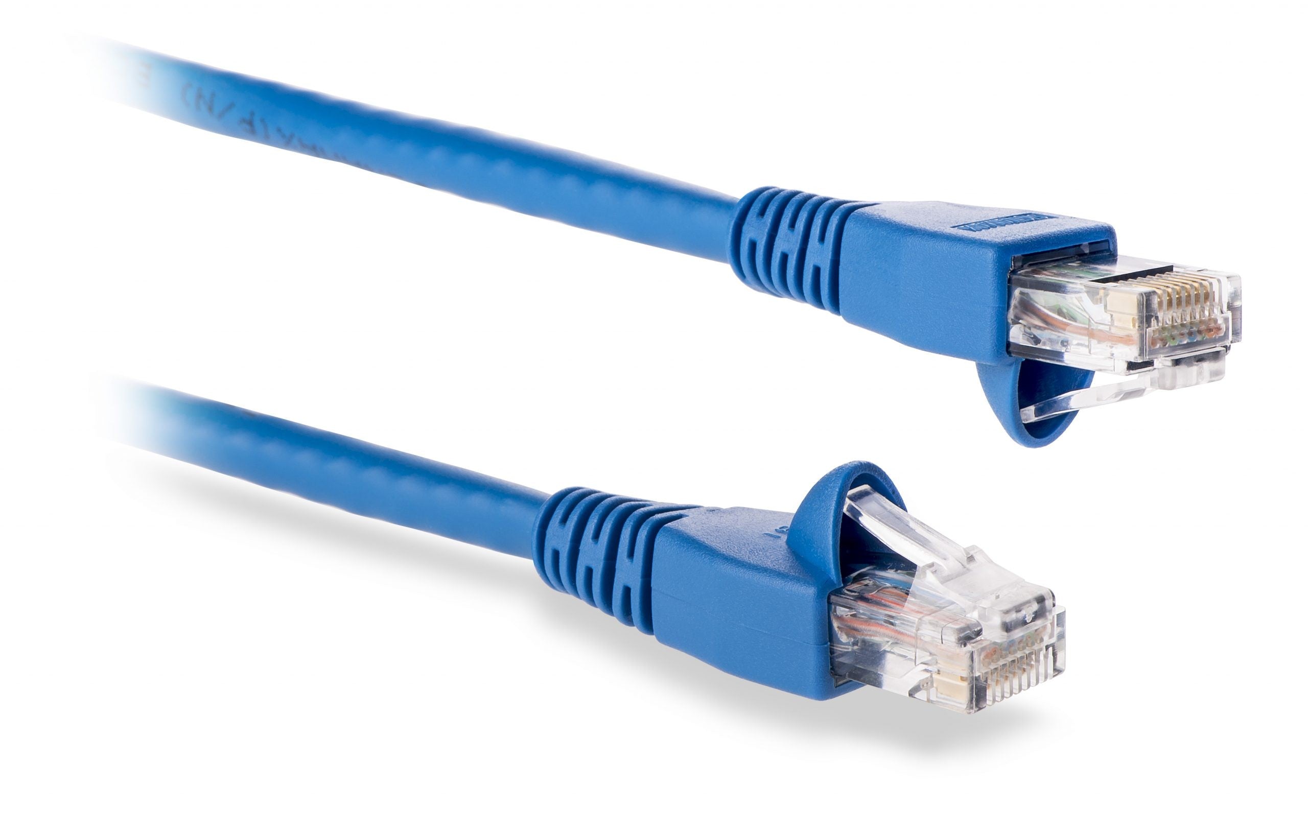 CP-C-02B-CAT6 Patch Cord Cat6 2' Blue Unshielded - Signamax Signamax