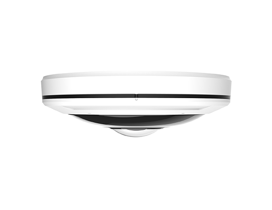 MS-C9674-PA 12MP H.265 Fisheye Network Camera